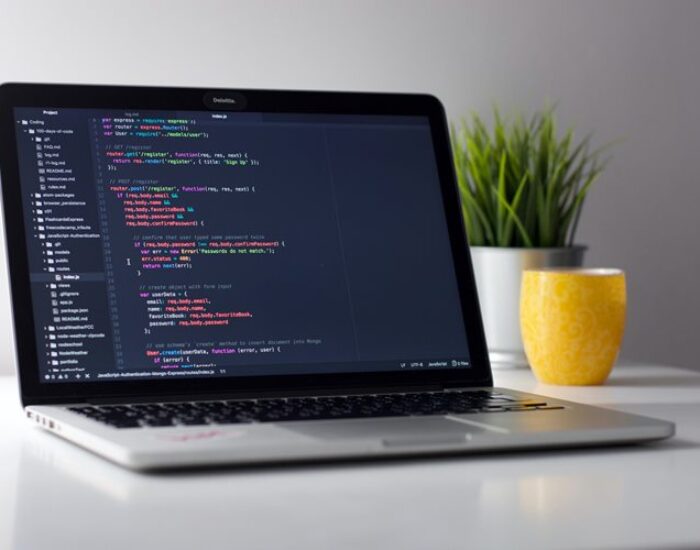 Custom Application Development Services